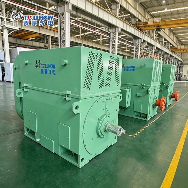 ac 3 phase squirrel cage induction motor
